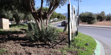 Mijas ha gastado ya este año 210.000 euros en arreglos, replantaciones y mano de obra en los jardines destrozados por los jabalíes