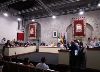 Marbella reclama al Gobierno central la mejora e integración de las pantallas acústicas de la A-7 y un plan de conservación y limpieza