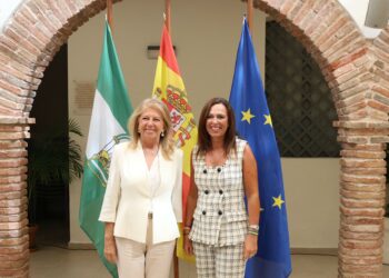 Marbella llevará a Pleno extraordinario la aprobación definitiva de su Plan General de Ordenación Municipal, el primero de Andalucía adaptado a la LISTA