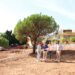 Marbella transforma un espacio de Xarblanca en un nuevo parque deportivo y de ocio con 13 nuevas plazas de aparcamiento