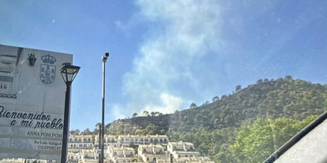 Se reaviva una de las zonas afectadas en el incendio de Benahavís