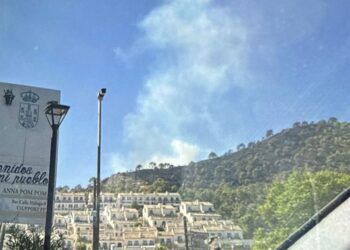 Se reaviva una de las zonas afectadas en el incendio de Benahavís
