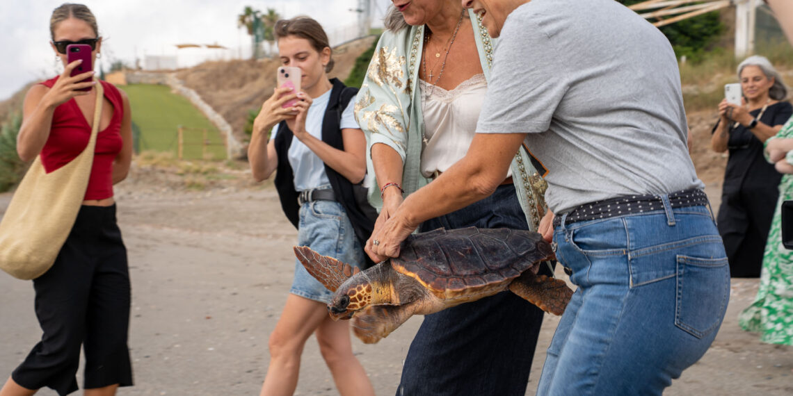 La Junta suelta en Benalmádena a una tortuga boba ‘Pepa’ que regresó a la costa malagueña tras su puesta en libertad en el mes de agosto