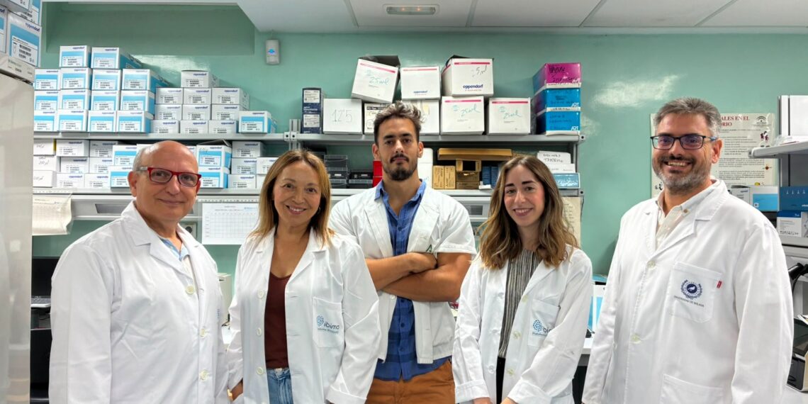 Investigadores identifican un compuesto natural que mejora la memoria en modelos de alzhéimer