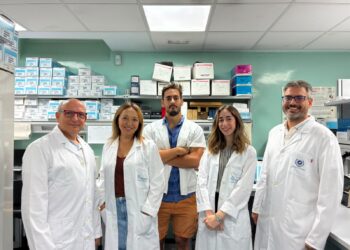 Investigadores identifican un compuesto natural que mejora la memoria en modelos de alzhéimer