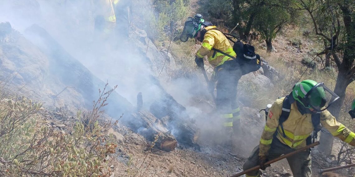 Controlado el incendio de Igualeja: los bomberos trabajan para su liquidación