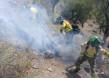 Controlado el incendio de Igualeja: los bomberos trabajan para su liquidación
