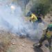 Controlado el incendio de Igualeja: los bomberos trabajan para su liquidación