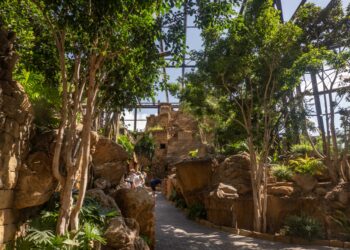 Del unicornio de mar a las especias: las maravillas que asombraron a Elcano y Magallanes en Bioparc Fuengirola