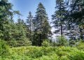 Diputación se suma a un proyecto europeo para que Sierra Bermeja sea laboratorio contra los grandes incendios forestales