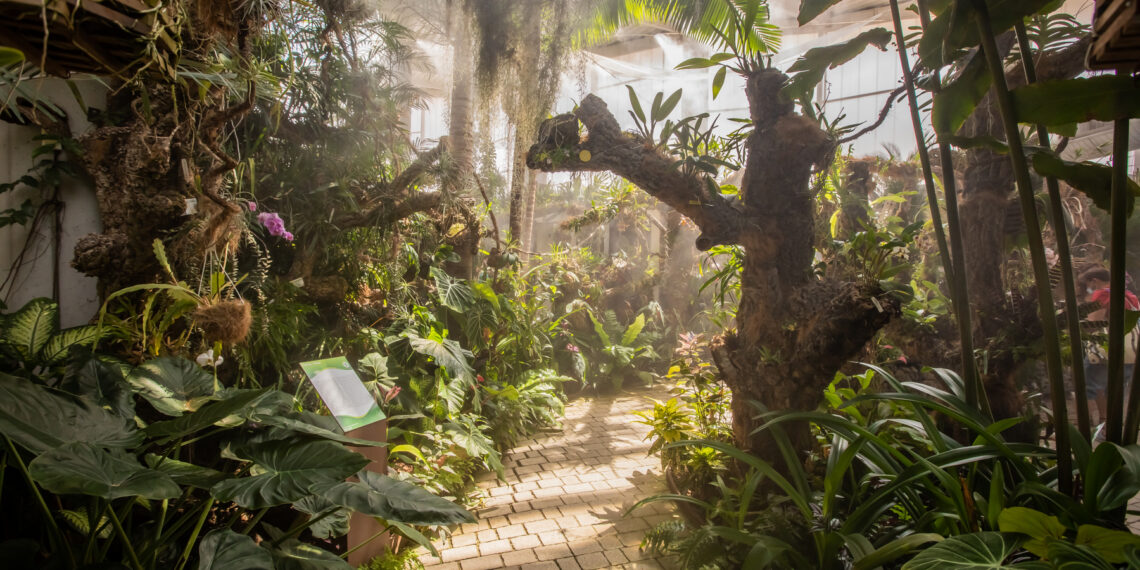 El Orquidario de Estepona tendrá una instalación pionera en la que las orquídeas crearán música en directo