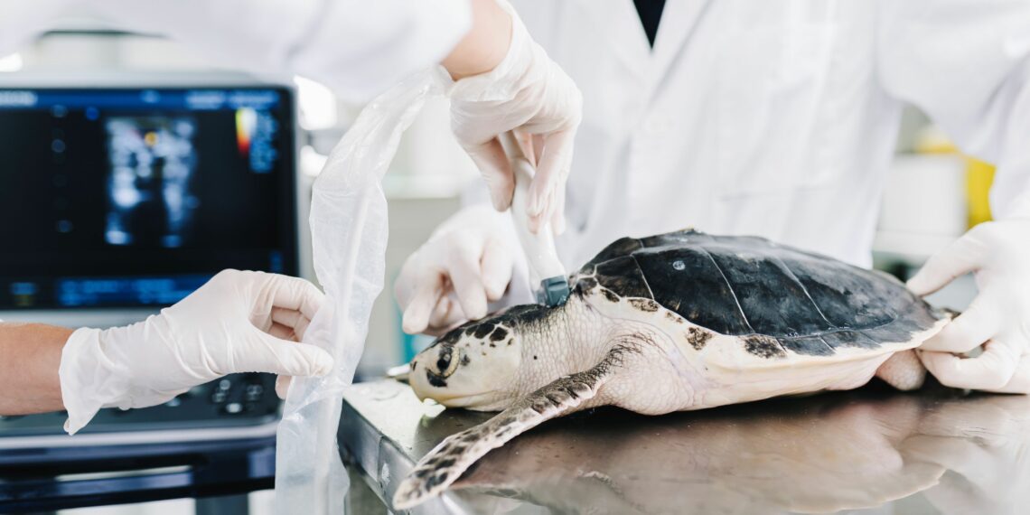 BIOPARC muestra cómo el conocimiento y la observación son esenciales para el bienestar de los animales