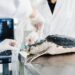 BIOPARC muestra cómo el conocimiento y la observación son esenciales para el bienestar de los animales