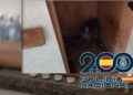 Detenida tras rescatar a 61 perros y gatos, algunos recluidos a oscuras en muebles de cocina