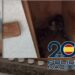 Detenida tras rescatar a 61 perros y gatos, algunos recluidos a oscuras en muebles de cocina