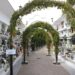 Mijas amplía el horario del cementerio y habilita autobuses para conmemorar el Día de Todos los Santos