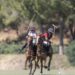 Ayala Polo Club, el gran encuentro del polo internacional cada verano