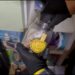 Un detenido en Fuengirola tras intervenir más de cinco kilos de ‘tusi’ y 1,5 kilos de cocaína y hachís