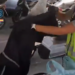 34 detenidos en una operación contra los robos de relojes de lujo en la Costa del Sol e Ibiza